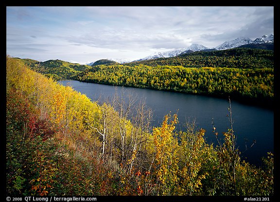 Long Lake surrounded by aspens in autumn color. Alaska, USA