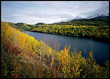 Long Lake surrounded by aspens in autumn color. Alaska, USA (color)