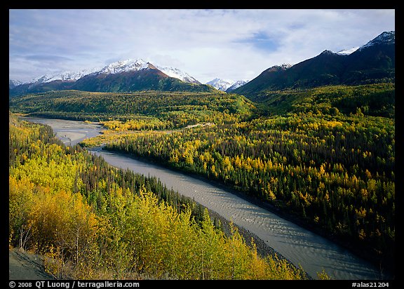Autumn Aspens, Matanuska River, and Chugach mountains. Alaska, USA (color)