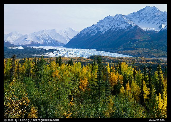 Matanuska Glacier in the fall. Alaska, USA