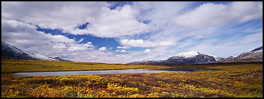 Tundra landscape and clouds in autumn. Alaska, USA (Panoramic color)