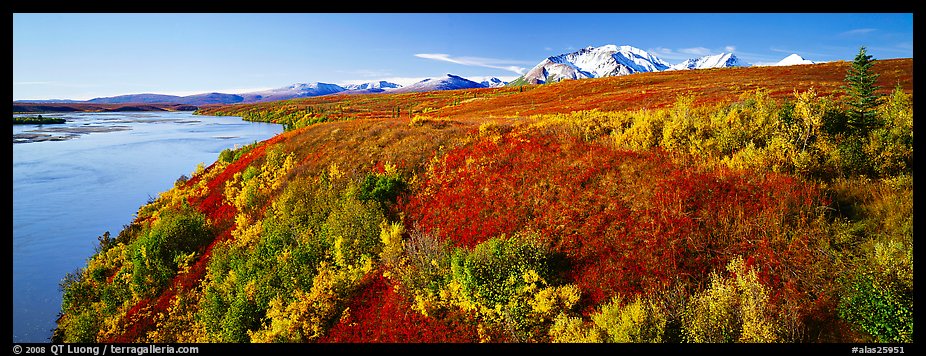 Tundra fall scenery with bright colors and river. Alaska, USA (color)