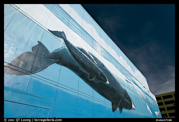 Outdoor wall mural with whale. Anchorage, Alaska, USA