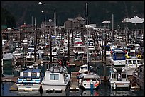 Small boat harbor. Whittier, Alaska, USA