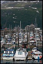 Yachts anchored in small boat harbor. Whittier, Alaska, USA