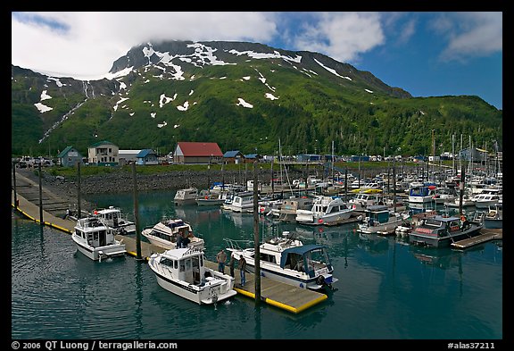 Yachts ready for sailing and harbor. Whittier, Alaska, USA (color)