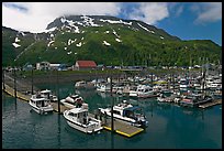 Yachts ready for sailing and harbor. Whittier, Alaska, USA