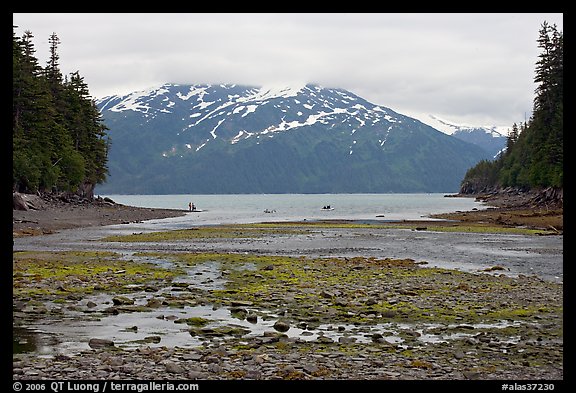 Cove and Passage Canal Fjord. Whittier, Alaska, USA (color)