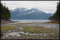 Cove and Passage Canal Fjord. Whittier, Alaska, USA (color)