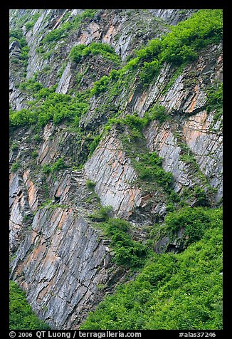 Vegetation and rocks on canyon walls, Keystone Canyon. Alaska, USA (color)