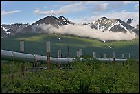 Trans-Alaska Pipeline and mountains. Alaska, USA (color)