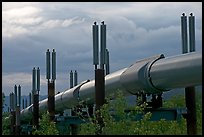 Trans-Alaska Pipeline near Richardson Highway. Alaska, USA (color)