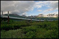 Alyeska Pipeline and mountains. Alaska, USA