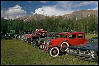 Vintage cars lined up in meadow. McCarthy, Alaska, USA (color)