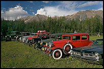 Vintage cars lined up in meadow. McCarthy, Alaska, USA