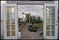 Greenhouse used for vegetable growing. McCarthy, Alaska, USA