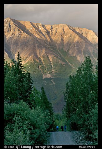 People strolling on unpaved path, with sunset light on mountains. McCarthy, Alaska, USA