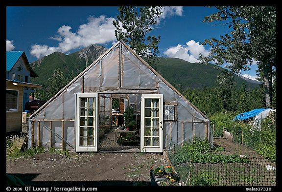 Greenhouse and vegetable garden. McCarthy, Alaska, USA (color)