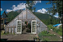 Greenhouse and vegetable garden. McCarthy, Alaska, USA ( color)