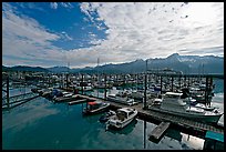 Small boat harbor, morning. Seward, Alaska, USA (color)
