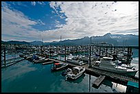 Small boat harbor, morning. Seward, Alaska, USA