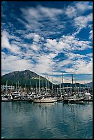 Harbor, mountains and cloud reflections. Seward, Alaska, USA