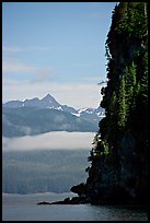 Cliff on island in Resurrection Bay. Seward, Alaska, USA ( color)