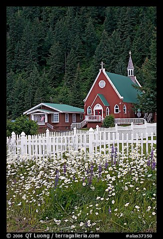 White flowers,  picket fence, red church, and forest. Seward, Alaska, USA