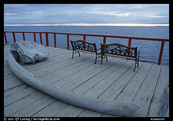 Whale bone and Kotzebue sound, looking towards the Bering sea. Kotzebue, North Western Alaska, USA (color)