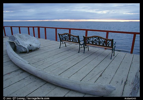 Whale bone and Kotzebue sound, looking towards the Bering sea. Kotzebue, North Western Alaska, USA