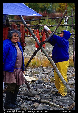 Inupiaq Eskimo women drying fish, Ambler. North Western Alaska, USA