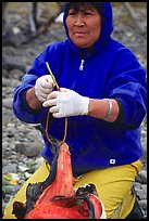 Inupiaq Eskimo woman getting fish ready to hang for drying, Ambler. North Western Alaska, USA (color)