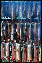 Drying whitefish and smoke, Ambler. North Western Alaska, USA (color)