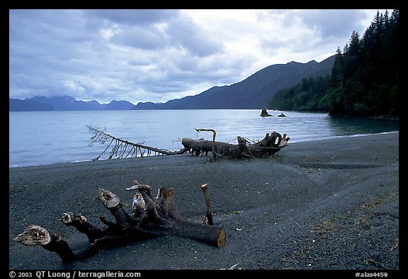 Beach and Resurection Bay at Lowell Point. Seward, Alaska, USA