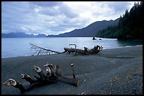 Beach and Resurection Bay at Lowell Point. Seward, Alaska, USA (color)