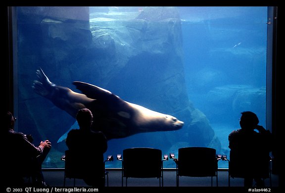 Tourists sitting next to the northern sea lion aquarium, Alaska Sealife center. Seward, Alaska, USA (color)