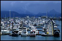 Small Boat Harbor on the Spit. Homer, Alaska, USA