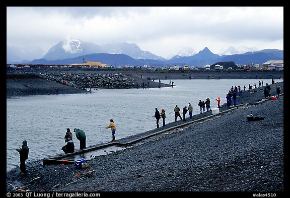 The Fishing Hole. Homer, Alaska, USA