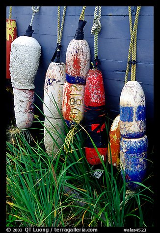 Buoys hanging on the side of a boat. Homer, Alaska, USA (color)