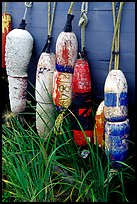 Buoys hanging on the side of a boat. Homer, Alaska, USA (color)