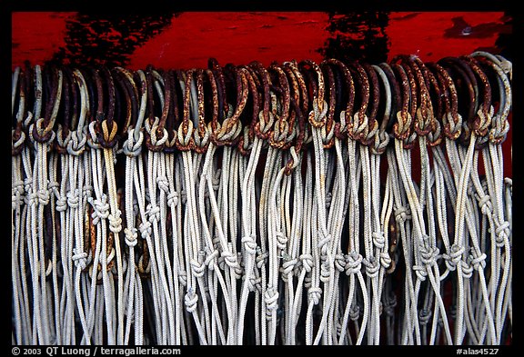 Fishing hooks. Homer, Alaska, USA (color)