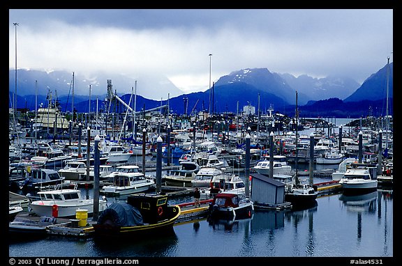 Small Boat Harbor on the Spit with Kenai Mountains in the backgound. Homer, Alaska, USA