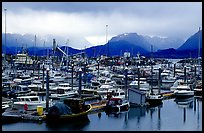 Small Boat Harbor on the Spit with Kenai Mountains in the backgound. Homer, Alaska, USA