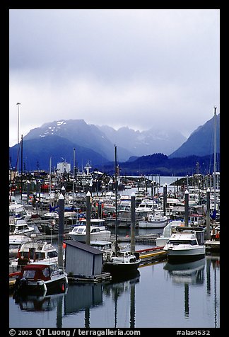 Small Boat Harbor on the Spit with Kenai Mountains in the backgound. Homer, Alaska, USA (color)