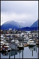 Small Boat Harbor on the Spit with Kenai Mountains in the backgound. Homer, Alaska, USA (color)