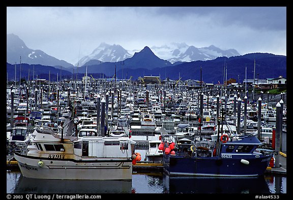 Small Boat Harbour on the Spit with Kenai Mountains in the backgound. Homer, Alaska, USA (color)