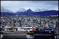 Small Boat Harbour on the Spit with Kenai Mountains in the backgound. Homer, Alaska, USA ( color)