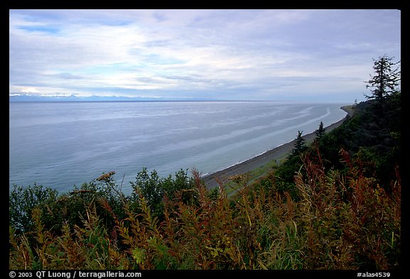 Cook Inlet. Ninilchik, Alaska, USA