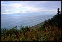 Cook Inlet. Ninilchik, Alaska, USA ( color)