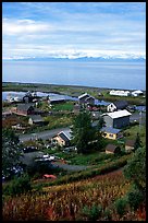 Old village. Ninilchik, Alaska, USA (color)